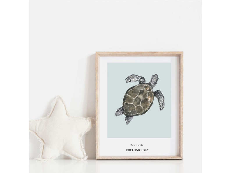 K&ouml;nnte beinhalten: Ein gerahmter Druck einer Aquarellillustration einer Meeresschildkr&ouml;te auf hellblauem Hintergrund. Der Text "Sea Turtle CHELONIOIDEA" ist unter dem Bild gedruckt.