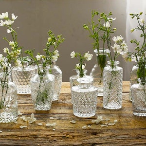 French Relief Patterned Glass Vase Set, Small Embossed Modern Flower Vase, Elegant Nordic Room Decoration Handmade Home Welcome Gift for Her