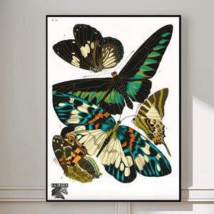 Émile-Allain Séguy Butterflies Print, Vintage Art Deco Entomology Poster, Colorful Botanical Wall Art