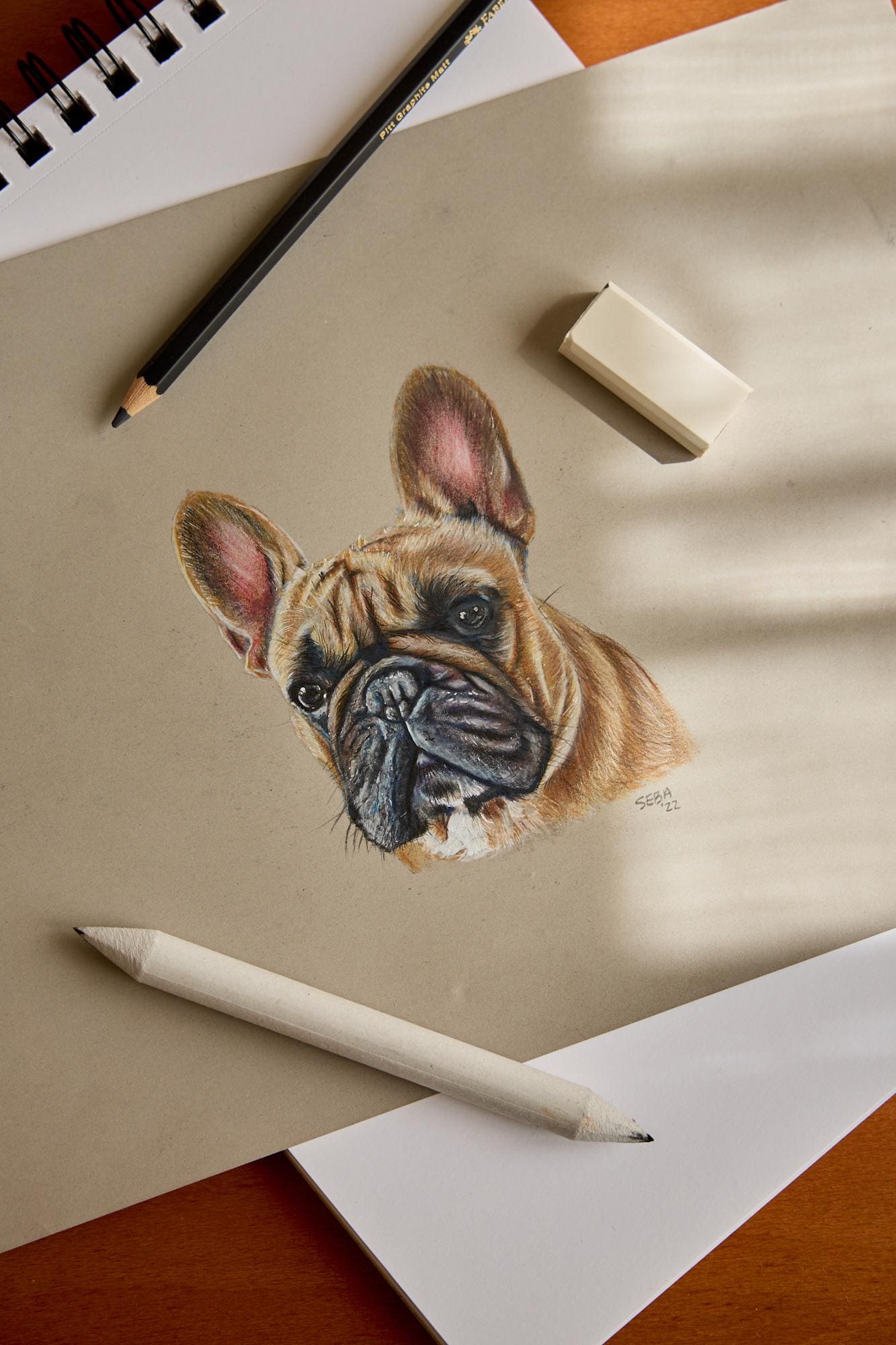 Original custom dog portrait in color made in high quality pencil and marker, hand drawn, unique personalized gift idea
