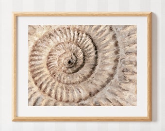 Ammonite Wall Art - Stampa fossile - Pittura a spirale - Decorazione conchiglia - Decorazione costiera - Fossile marino - Toni neutri - Pittura a olio conchiglia