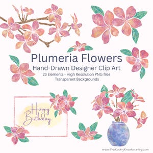 Plumeria Flower Clip Art: Hand-Drawn Frangipani PNG (Digital Download)