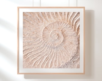 Quadro con ammonite - Stampa di fossili - Dipinto di fossili marini - Decorazione per casa al mare - Arte costiera - Toni neutri - Arte beige - Dipinto di conchiglie