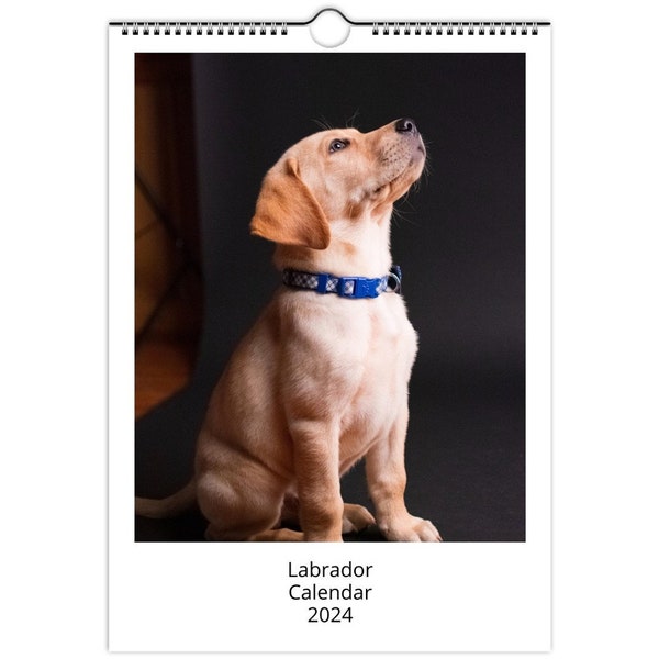 2024 Dog Calendar Etsy
