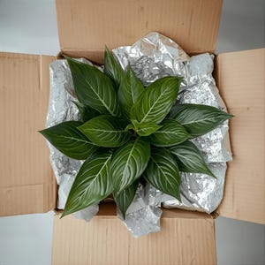Insulation + Heat Pack for Cold Weather Shipping