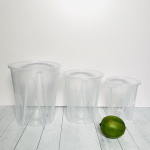 Clear Round Tall Pot Air Slots Flow Plastic Plant Nursery Pots for Root Health Sizes 4.75”, 5.5”, 6”, 7”