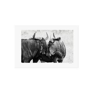 Love Cow Fine Art Posters | Wildebeest Black and White Wall Art | African Wildlife Print | Animal Couple Poster | Safari Decor