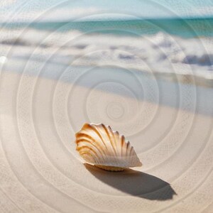 Pack 3 images, plage mer coquillage sur sable blanc – Image plage apaisante, décor naturel, art mural à télécharger, fond d’écran zen