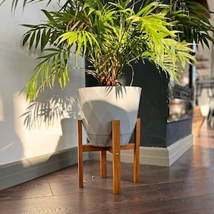 May include: A potted plant with vibrant green leaves in a geometric gray planter, set on a wooden plant stand. The stand has four legs and is made of light brown wood. The plant is indoors, with sunlight casting shadows on the wall.
