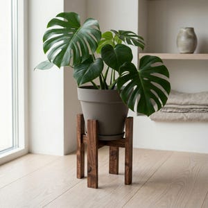 May include: A potted Monstera plant with large, split green leaves sits in a gray pot on a dark brown wooden plant stand. The stand has a simple, geometric design with four legs. The plant is near a window.