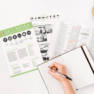 Complete Bible Book Summaries Bundle, Christian Study Resources ...