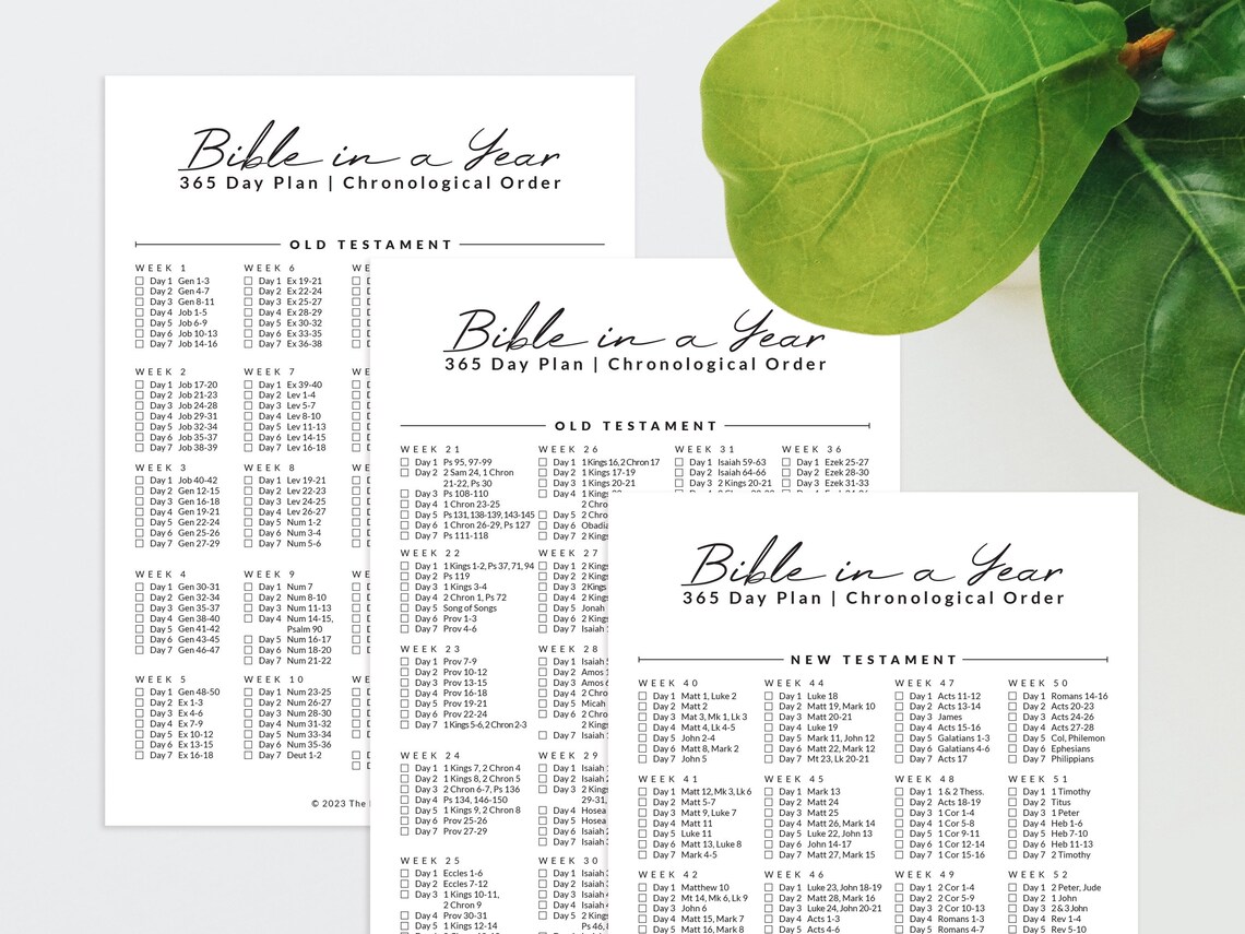 Chronological Bible in a Year Reading Plan Undated, Printable Scripture ...