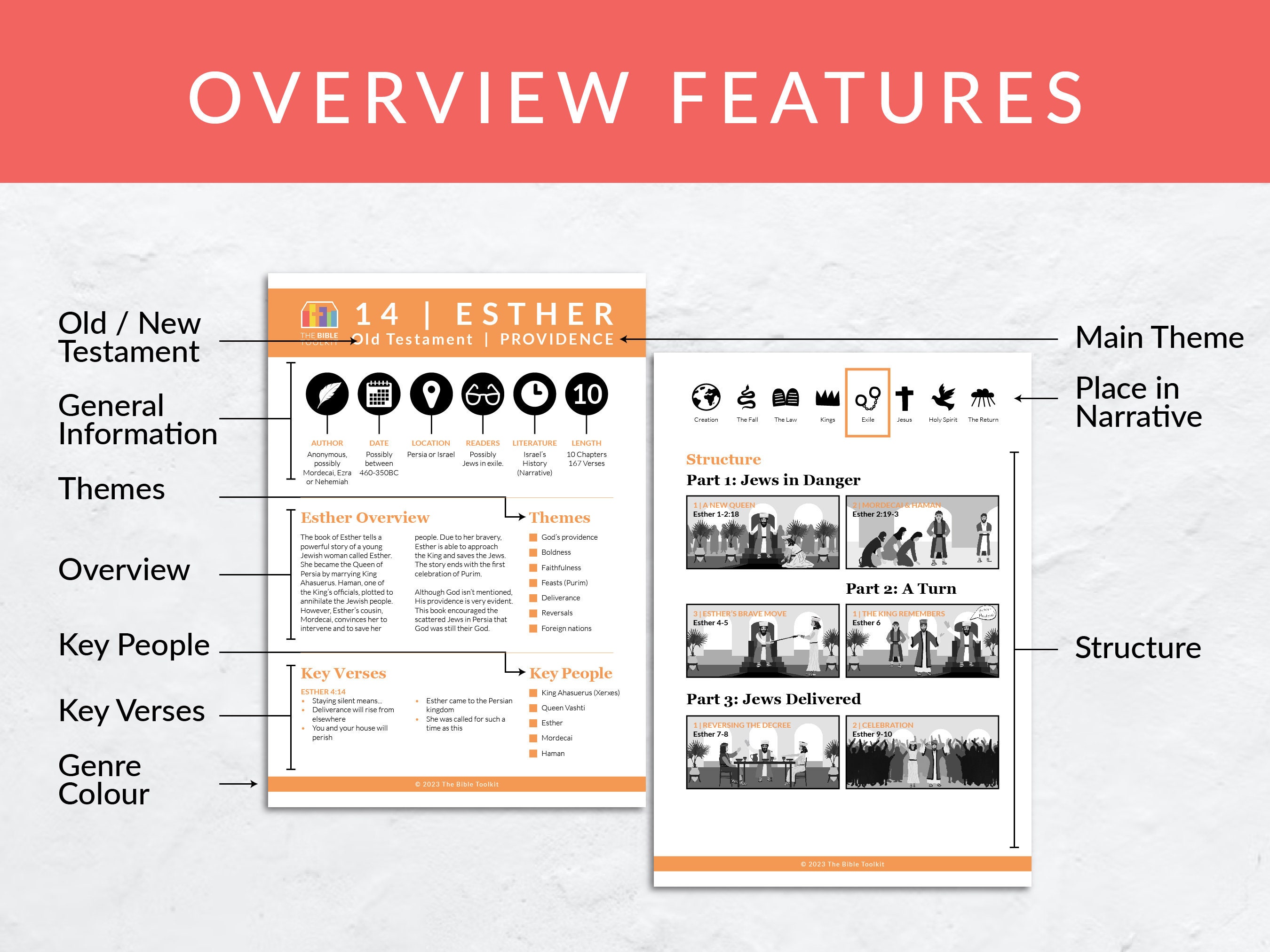 ESTHER BIBLE SUMMARY visual data 7