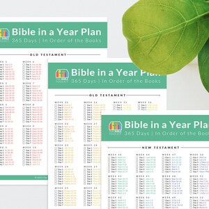 Bible in a Year Reading Plan Books Order Undated, Printable Scripture ...