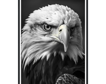 American Bald Eagle Photography Print - Black & White Eagle Photo Print - American Bald Eagle Artwork