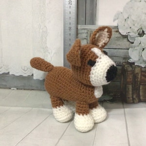 Corgi collectable