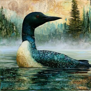 May include: A detailed illustration of a common loon swimming in water. The bird features a dark, iridescent head and neck with a white chest and patterned blue-green plumage. The background depicts a misty forest with tall pine trees.