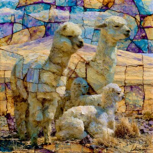 May include: An oil painting style depiction of three white alpacas standing and sitting in a rocky landscape. The background features a mosaic-like pattern of blue, purple, and tan segments. The alpacas have textured, thick fur and are rendered with visible brushstrokes.