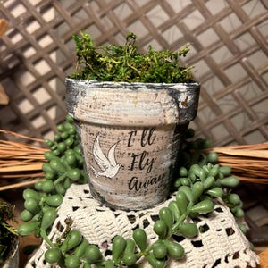 May include: A small white terracotta pot with a black rim and green moss inside. The pot is decorated with a black and white image of a dove and the text "I'll Fly Away".