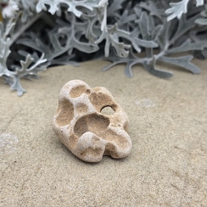 Puede incluir: Una pequeña piedra de color tostado claro, naturalmente erosionada, que presenta una superficie porosa e irregular con varias hendiduras redondeadas y suaves, además de un pequeño orificio en la parte superior derecha de su forma orgánica.