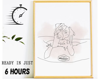 May include: A black and white line drawing of a dog in a bed, with a pink watercolor background. The dog is looking at the viewer. The image is framed in a gold frame. The text "ROLLINGWOOD FEED CO. MADE IN SPRINGWOOD" is on a circular label in the lower right corner of the image.