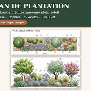 May include: A digital garden planting plan titled PLAN DE PLANTATION featuring a 15 m by 2 m Mediterranean flower bed layout. The document includes a top-down view and a side elevation view with 15 numbered plant varieties and 62 plants.