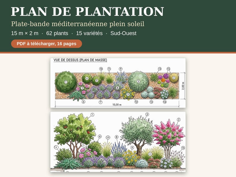 May include: A digital garden planting plan titled PLAN DE PLANTATION featuring a 15 m by 2 m Mediterranean flower bed layout. The document includes a top-down view and a side elevation view with 15 numbered plant varieties and 62 plants.