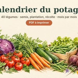 May include: A vegetable garden calendar with the text "Calendrier du potager", "40 l&eacute;gumes &middot; semis, plantation, r&eacute;colte &middot; mois par mois", and "PDF &agrave; imprimer". The illustration features red tomatoes, orange carrots, green zucchini, green beans, purple cabbage, and beets.