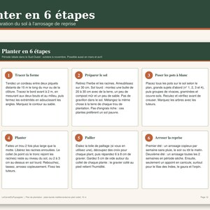 May include: An instructional infographic titled Planter en 6 &eacute;tapes featuring six numbered white boxes with French text detailing gardening steps. The layout includes a dark green header and a light beige background, providing a structured guide for planting.