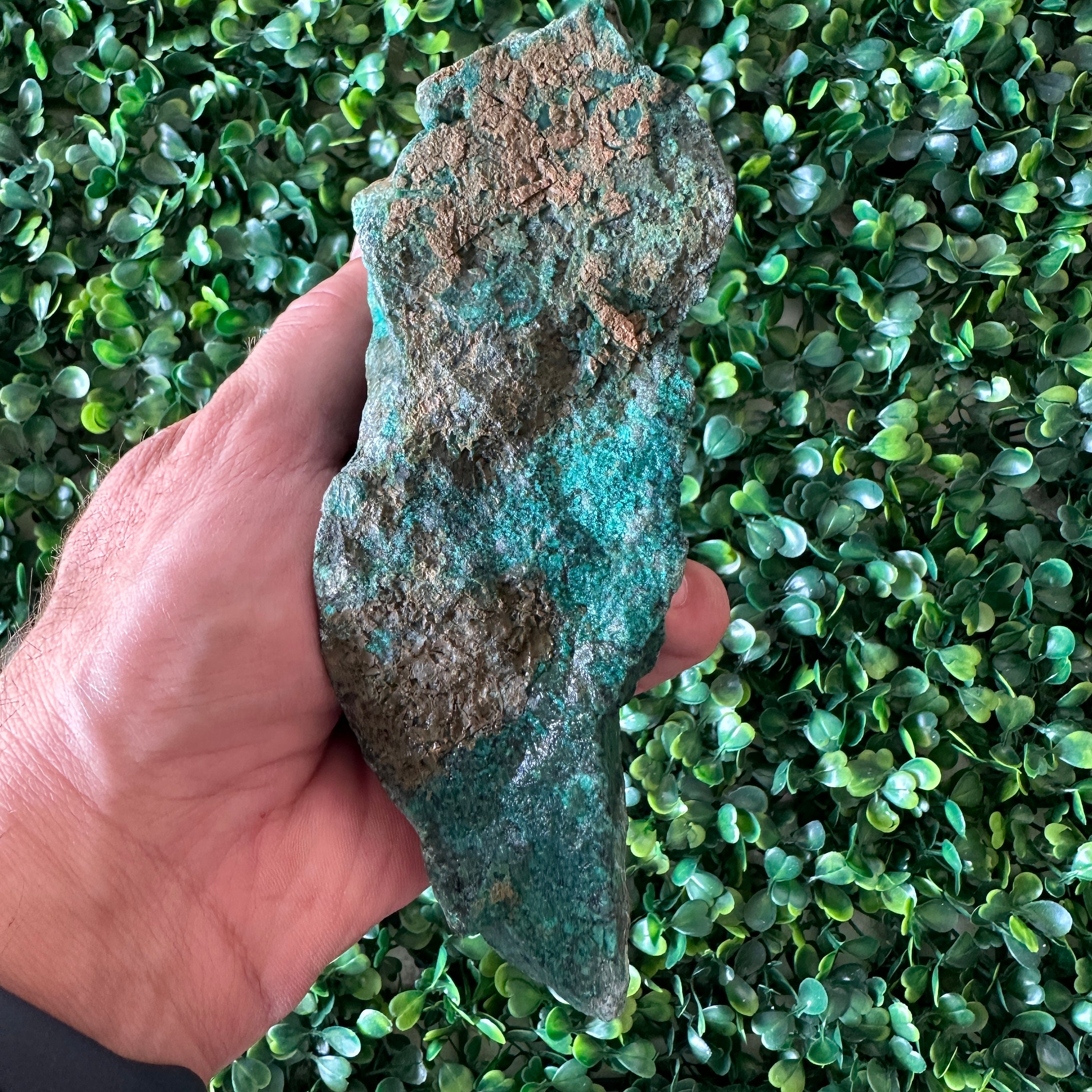 3270CT Rare King Solomon Stone Collection Authentic Rough Eilat Stone