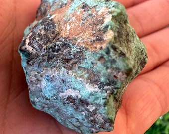 264.8CT Rare King Solomon Stone Collection Authentic Rough Eilat Stone