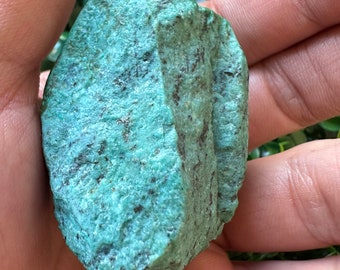 387.6CT Rare King Solomon Stone Collection Authentic Rough Eilat Stone
