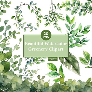 Verdure à l'aquarelle Clipart - Verdure Clipart - Éléments individuels - Ensemble de plantes et verdures - Usage Commercial - 300 DPI