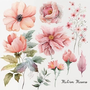 Watercolor Floral Clipart - Summer Flowers Clipart - Minimalist Flowers Watercolor- Summer Blooms- 16 PNG Files