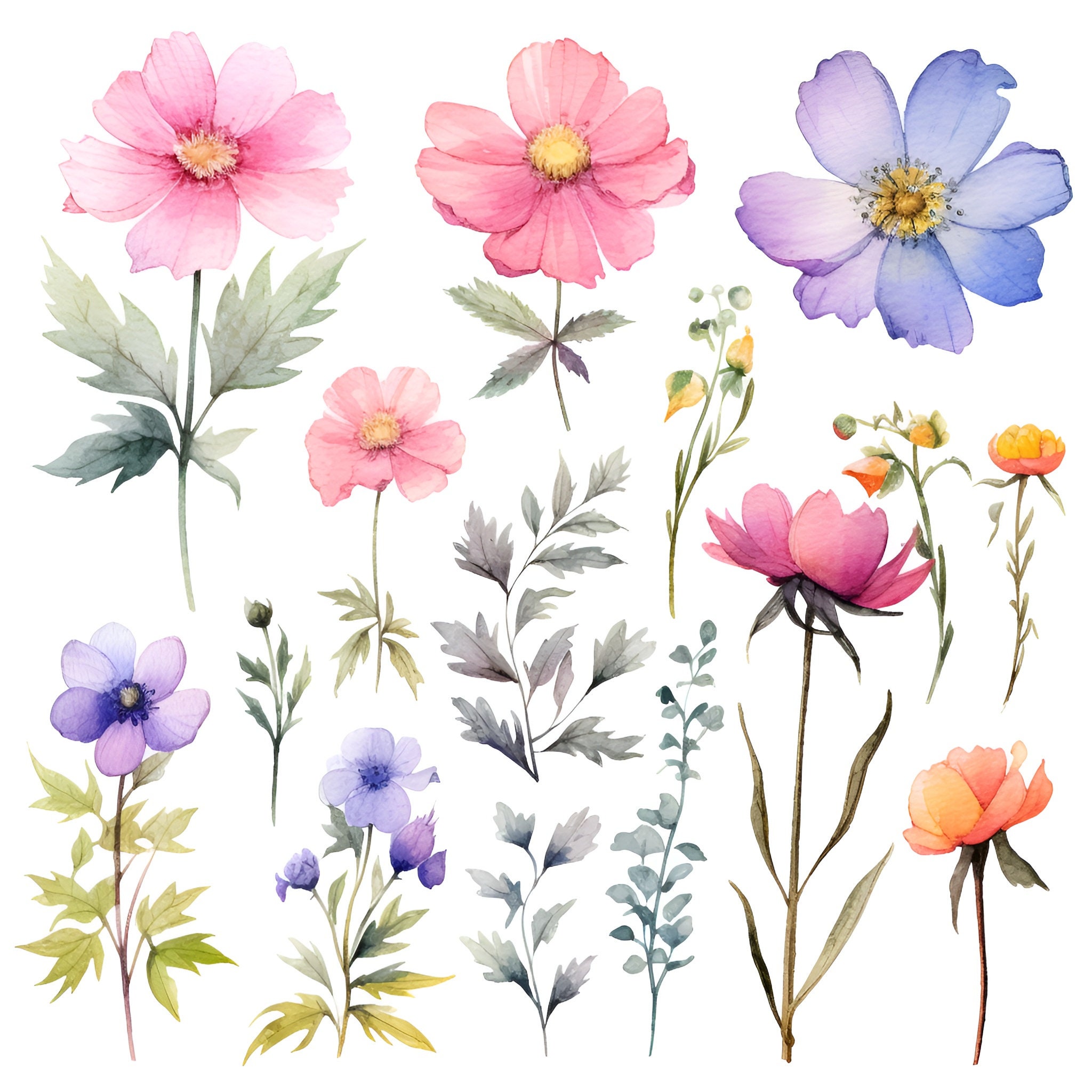 Watercolor Floral Clipart Collection - Summer Flowers Clipart ...