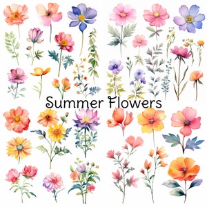 Watercolor Floral Clipart Collection - Summer Flowers Clipart - Minimalist Flowers Watercolor- Summer Blooms- 39 PNG Files - Art