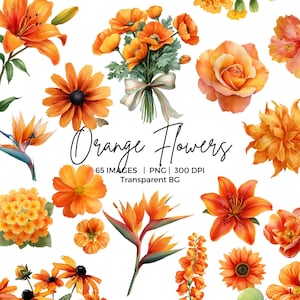 65 orange blommor PNG Clipart-paket: Akvarell vårblommor PNG, höstsublimering PNG, kommersiellt bruk, bröllop png, mors dag