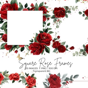 Puede incluir: Marcos florales de acuarela con rosas rojas vibrantes y follaje verde. El diseño incluye marcos cuadrados con fondo transparente, perfectos para proyectos de arte digital. El texto dice "Square Rose Frames".