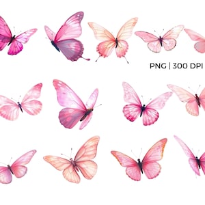 Farfalla PNG Farfalle rosa Clipart Acquerello Farfalla primaverile Clip art Pacchetto per arredamento, design, stampa, invito, decorazione, arte murale immagine 5