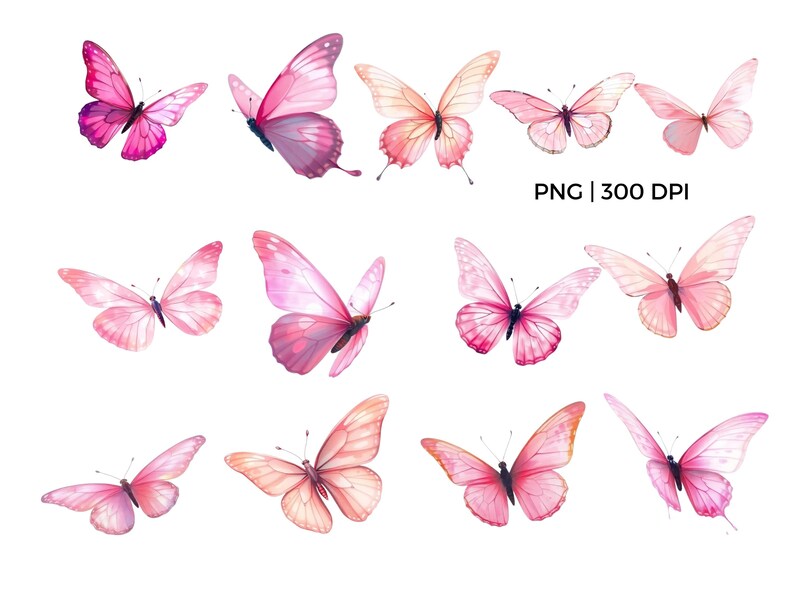 Farfalla PNG Farfalle rosa Clipart Acquerello Farfalla primaverile Clip art Pacchetto per arredamento, design, stampa, invito, decorazione, arte murale immagine 5