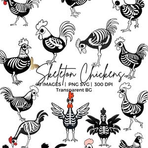 Op de afbeelding: Een verzameling zwart-wit illustraties van skeletkippen in verschillende poses. Sommige kippen hebben rode of roze kammen en lellen. De afbeelding bevat de tekst "Skeleton Chickens" en details over het afbeeldingsformaat.