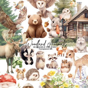 Clipart animaux des bois animaux mignons PNG forêt aquarelle pour invitation, baby shower, décoration de chambre d'enfant lapin renard écureuil ours cerf hibou