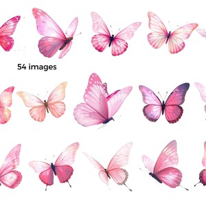 Pu&ograve; includere: Una collezione di 54 illustrazioni di farfalle rosa. Le farfalle sono in varie pose con le ali aperte. Le farfalle sono isolate su uno sfondo bianco.
