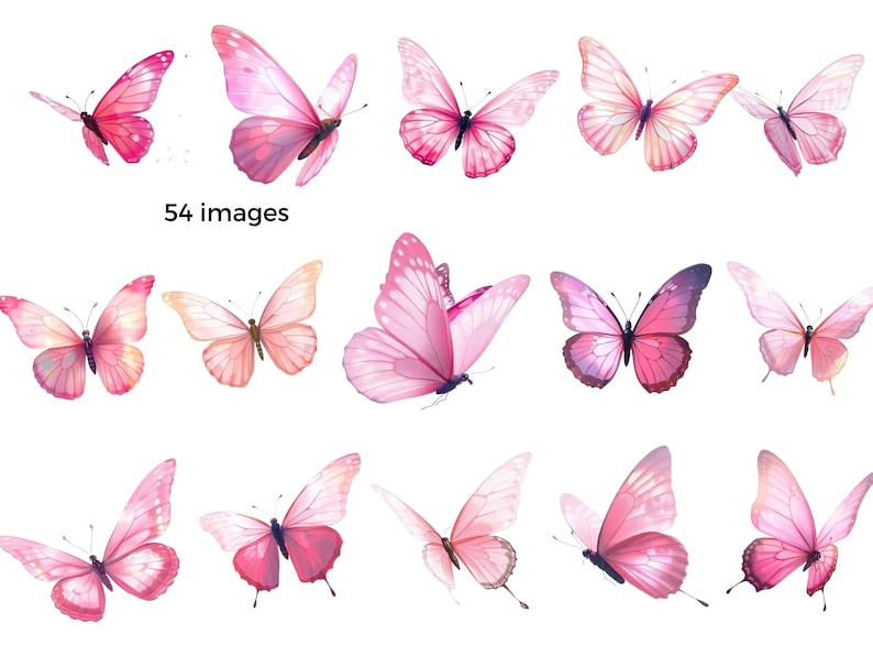 Pu&ograve; includere: Una collezione di 54 illustrazioni di farfalle rosa. Le farfalle sono in varie pose con le ali aperte. Le farfalle sono isolate su uno sfondo bianco.