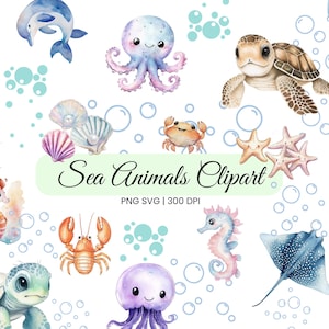 Simpatici animali marini, creature dell'oceano, clipart di tartaruga, delfino, polpo, calamaro, pesce, granchio, cavalluccio marino, aragosta