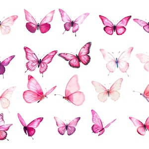 Farfalla PNG Farfalle rosa Clipart Acquerello Farfalla primaverile Clip art Pacchetto per arredamento, design, stampa, invito, decorazione, arte murale immagine 3