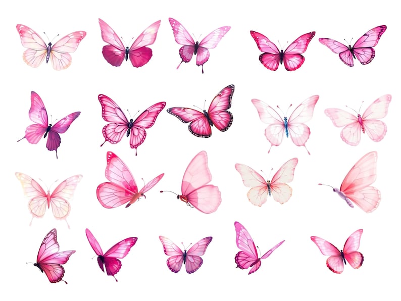 Farfalla PNG Farfalle rosa Clipart Acquerello Farfalla primaverile Clip art Pacchetto per arredamento, design, stampa, invito, decorazione, arte murale immagine 3