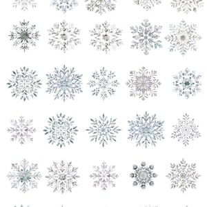 May include: A collection of watercolor snowflakes in various shades of gray, silver, and blue. Each snowflake has a unique, intricate design, with delicate details and patterns. The snowflakes are arranged on a white background.