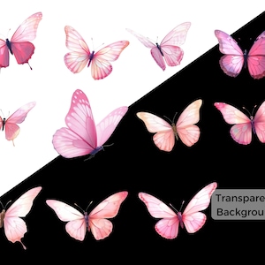 Pu&ograve; includere: Una collezione di farfalle rosa con ali trasparenti, isolate su uno sfondo bianco e nero.