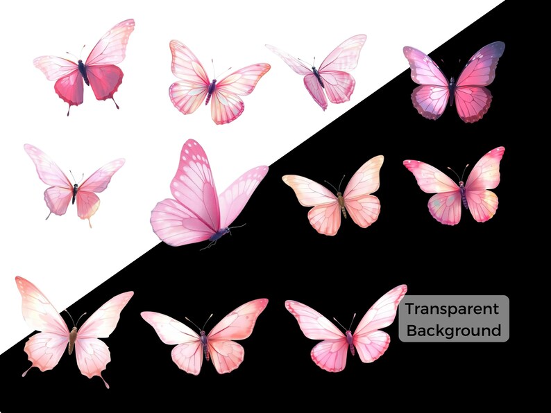 Pu&ograve; includere: Una collezione di farfalle rosa con ali trasparenti, isolate su uno sfondo bianco e nero.